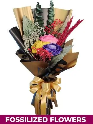 Light Dried Rose BG Province