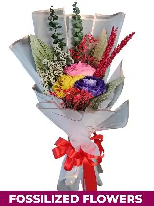 Dried Light Rose White Province