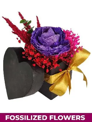 Dried Purple Rose