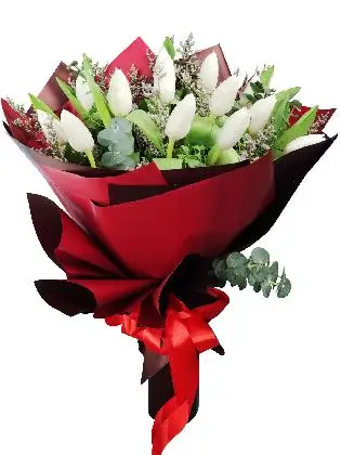 12 Pcs White Tulips