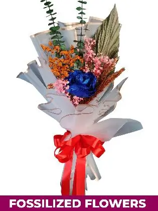 1 Dried Blue Roses White Province