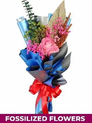 1 Dried Pink Roses Black/Gold Province