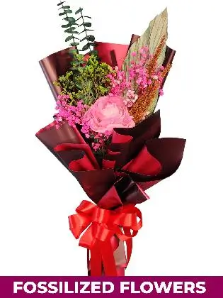 1 Dried Pink Roses Maroon Province