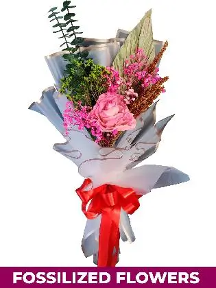 1 Dried Pink Roses White Province