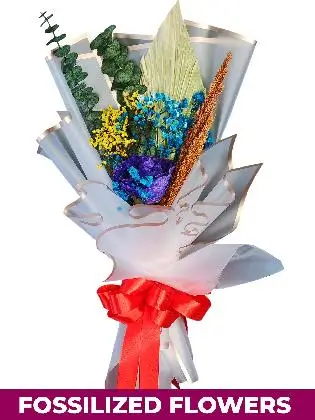 1 Dried Purple Rose White Province