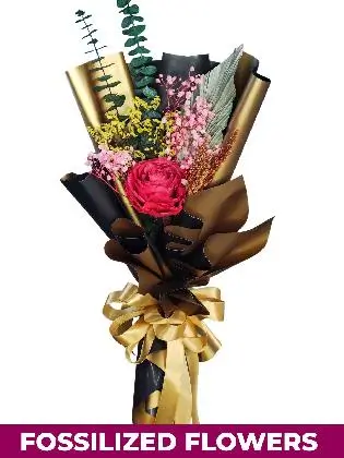 1 Dried Red Roses Black/Gold Province
