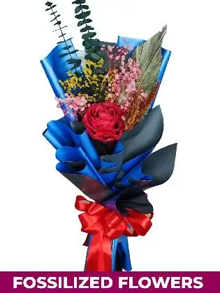 1 Dried Red Rose Blue/Silver Province