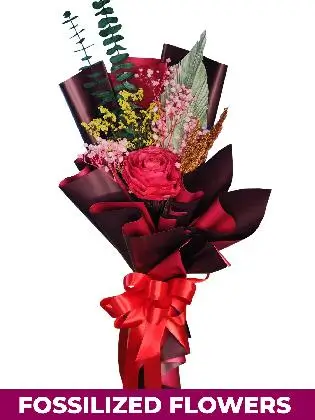 1 Dried Red Rose Maroon Province