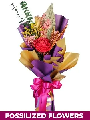 1 Dried Red Rose Purple/Gold Province