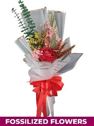 1 Dried Red Rose White Province