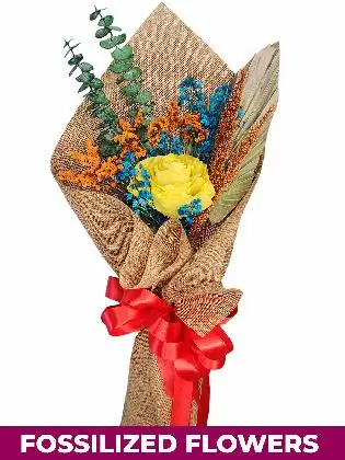 1 Dried Yellow Rose Burlap CH Province