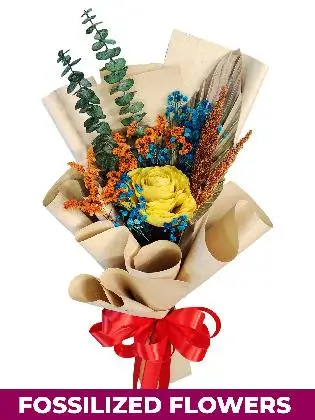 1 Dried Yellow Rose Kraft Province