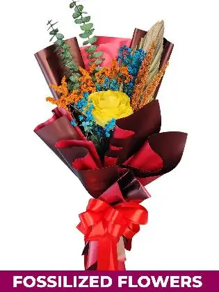 1 Dried Yellow Rose Maroon Province