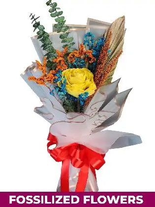 1 Dried Yellow Rose White Province