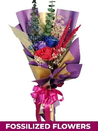 Dried Dark Roses Purple Gold Province