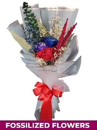 Dried Dark Rose White Province