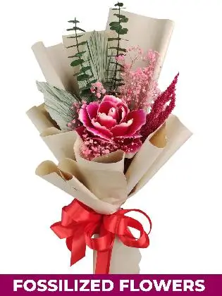 1 Dried Peonies Kraft Province