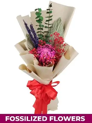 1 stem