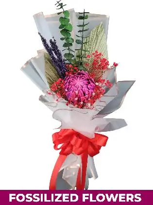 1 stem