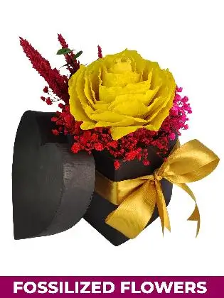 Heart Dried Yellow Rose