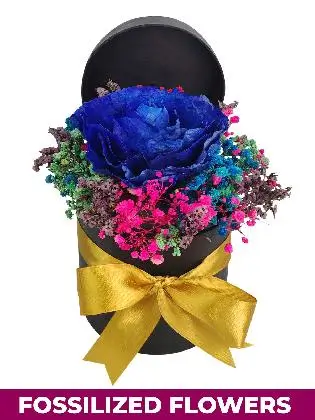 Blue Rose