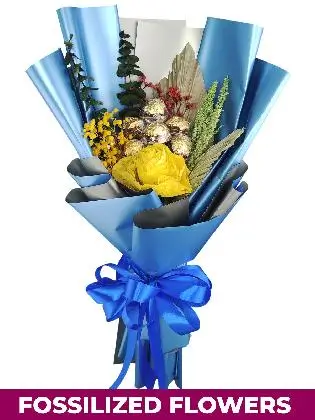 Blue/Silver