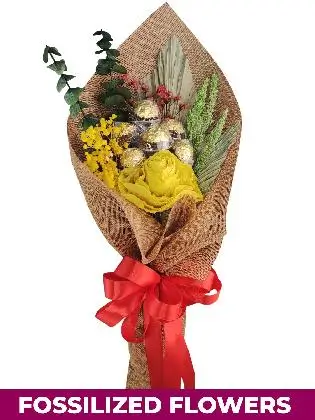 Burlap PH