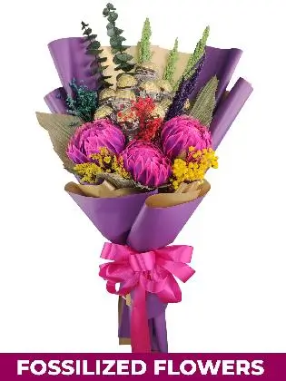 Protea 12 Purple Gold