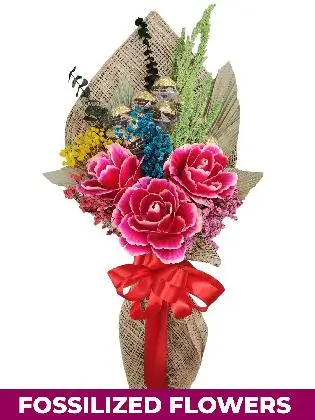 Burlap PH