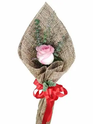 Pink Roses Bouquet