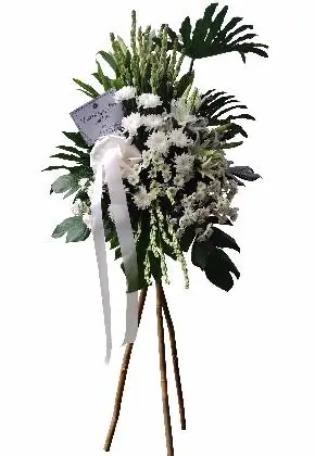 Sympathy Stand