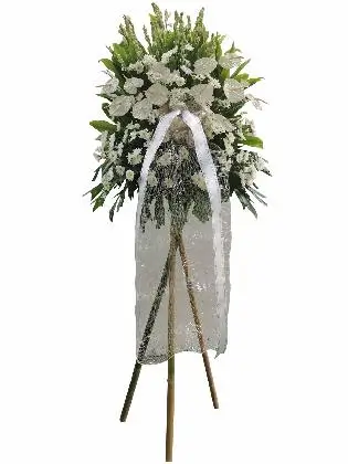 Sympathy Stand