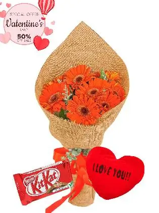 10 Red Gerbera