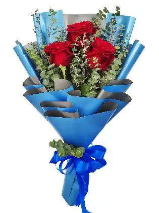 3 red ecua blue/silver