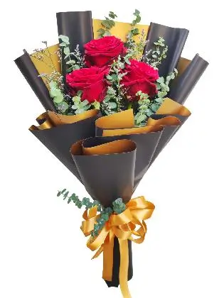 3 red euca black/gold