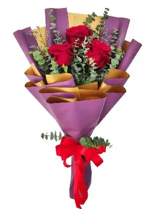3 red ecua purple/gold