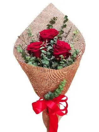 3 red ecua burlap CH