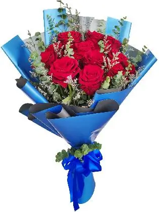 12 red ecua blue/silver