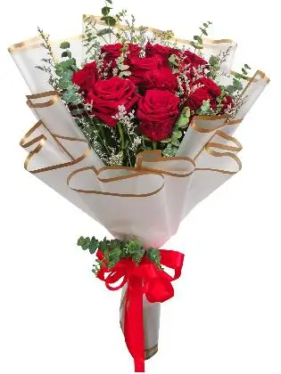 12 red ecua white