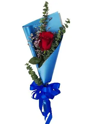 1 red ecua blue/silver