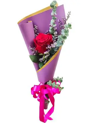 1 red ecua purple/gold