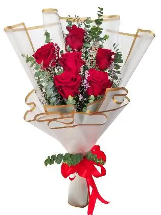 6 red ecua white