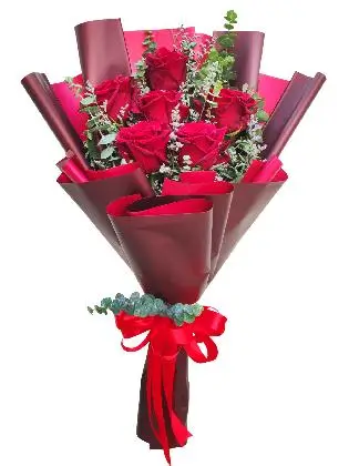 6 red ecua maroon