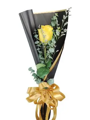 1 yellow ecua black/gold