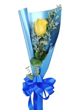 1 yellow ecua blue/silver