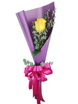 1 yellow ecua purple/gold