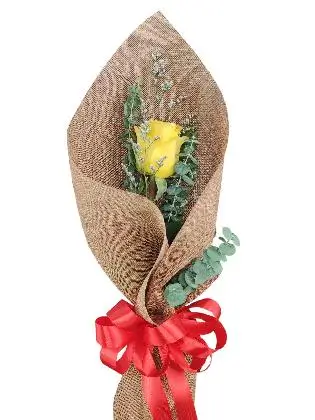 1 yellow ecua burlap PH