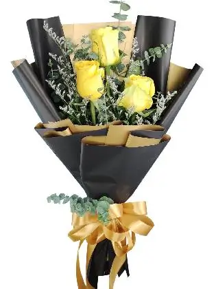 3 yellow ecua black/gold