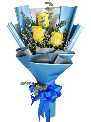 3 yellow ecua blue/silver