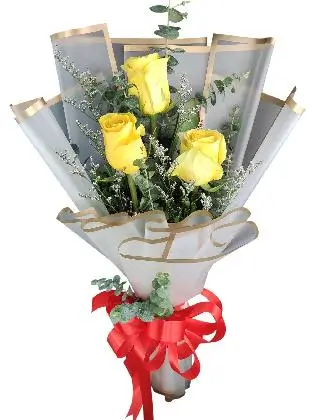 3 yellow ecua white